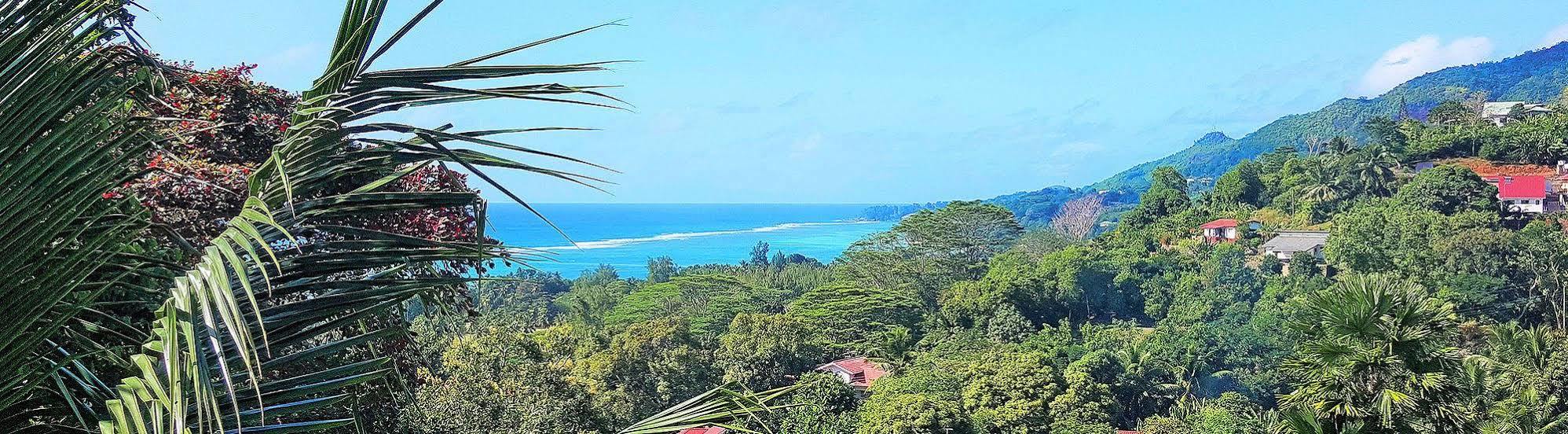 Lime Hill Lodge Anse aux Pins Exteriér fotografie